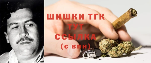 прущий лед Арсеньев