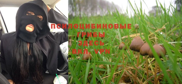 гашик Армянск
