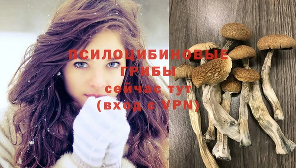 гашик Армянск