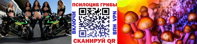 Псилоцибиновые грибы мицелий  Валдай 